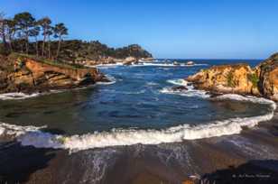 Point Lobos-3539.jpg